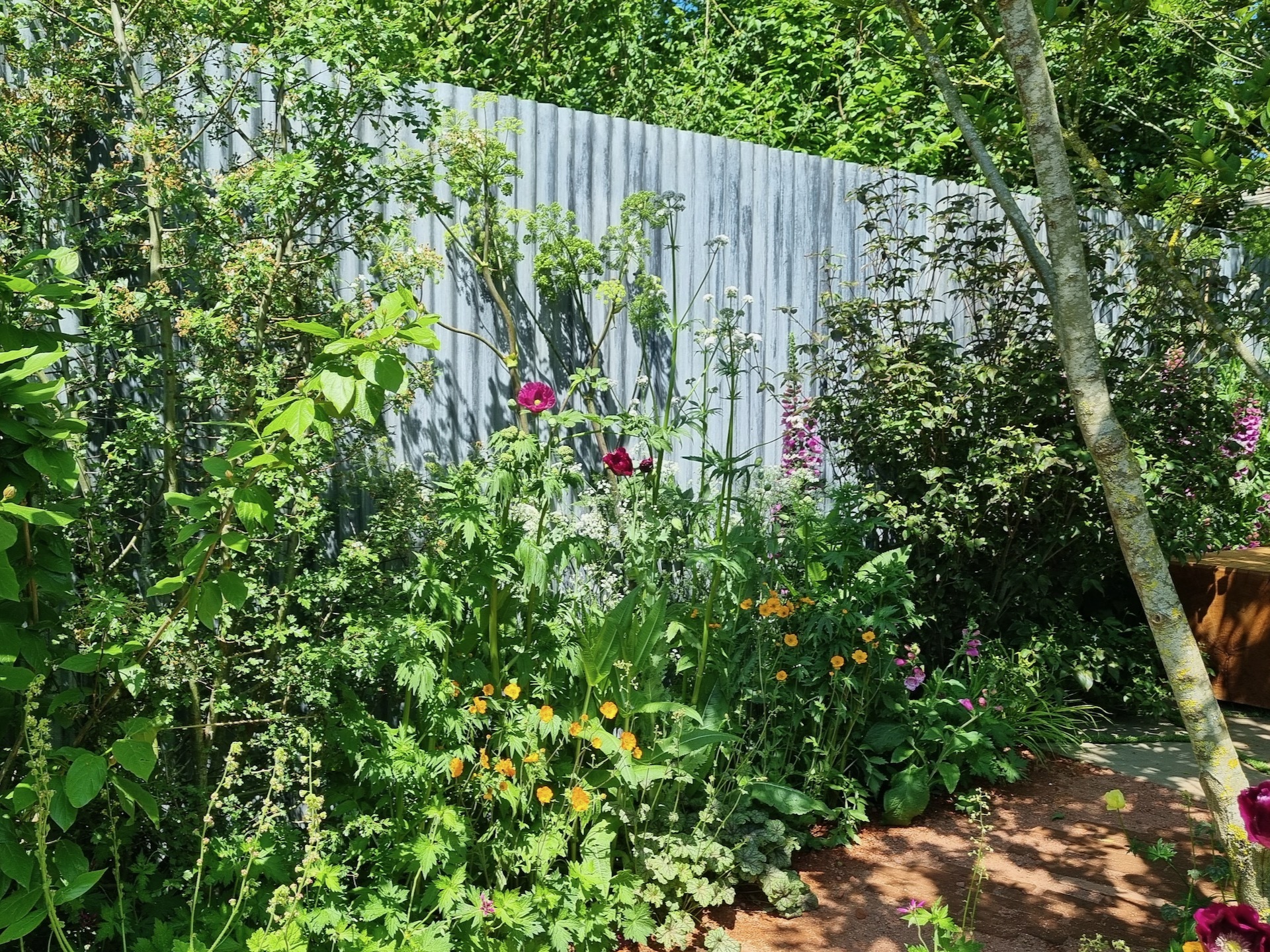 Naturalistic wildflower planting softens the corrugated metal boundaries