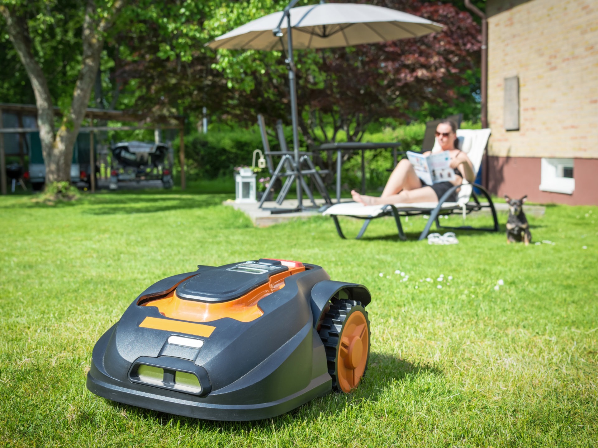 Automatic lawnmower in modern garden