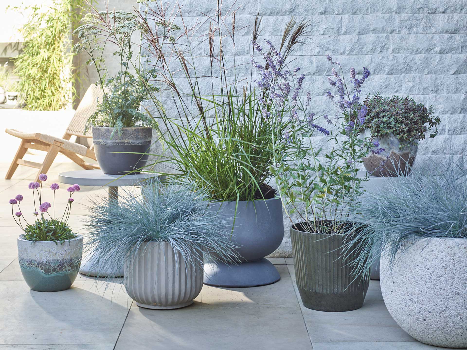 Bring in all your planting in pots for a low maintenance lawn-free garden