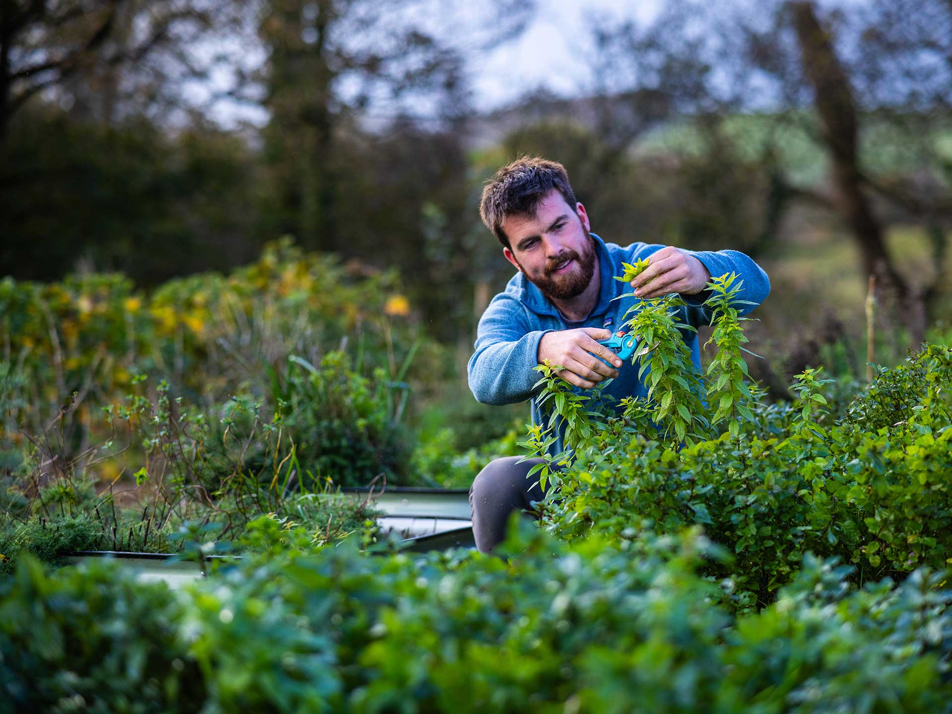 Gardener Huw Richards is a huge advocate of the no-dig method