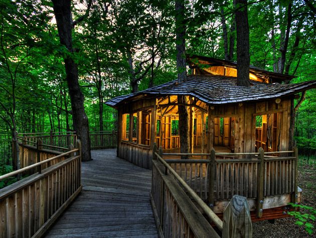 George Clarke on building a tree house1